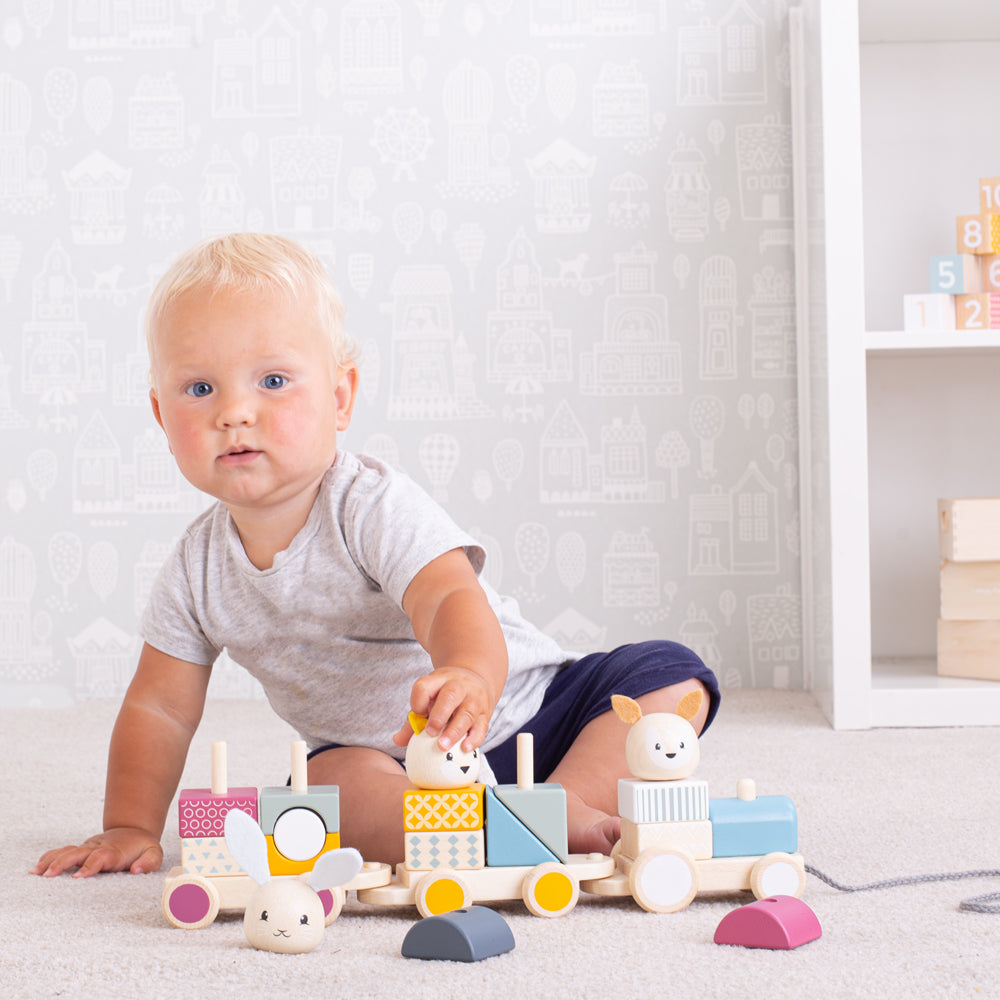 Bigjigs Wooden Activity Pull-Along Train