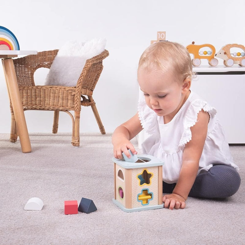 Bigjigs Wooden Shape Sorter