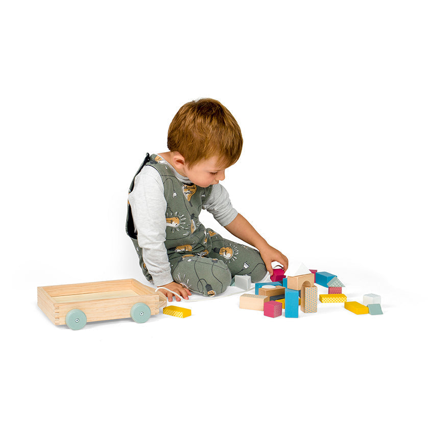Bigjigs Wooden Pull-Along Brick Cart