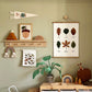 Kid of the Village Acorn Art Print - Stone