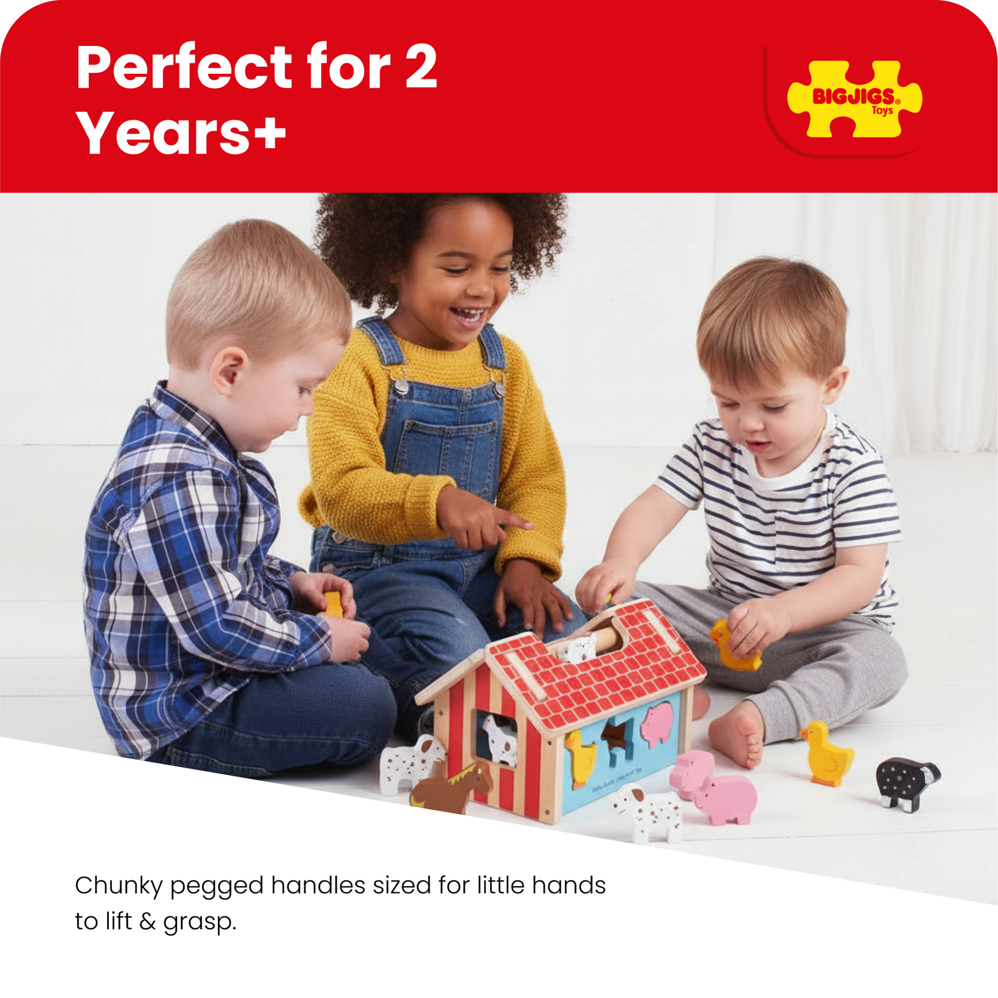 Bigjigs Wooden Farmhouse Shape Sorter Toy