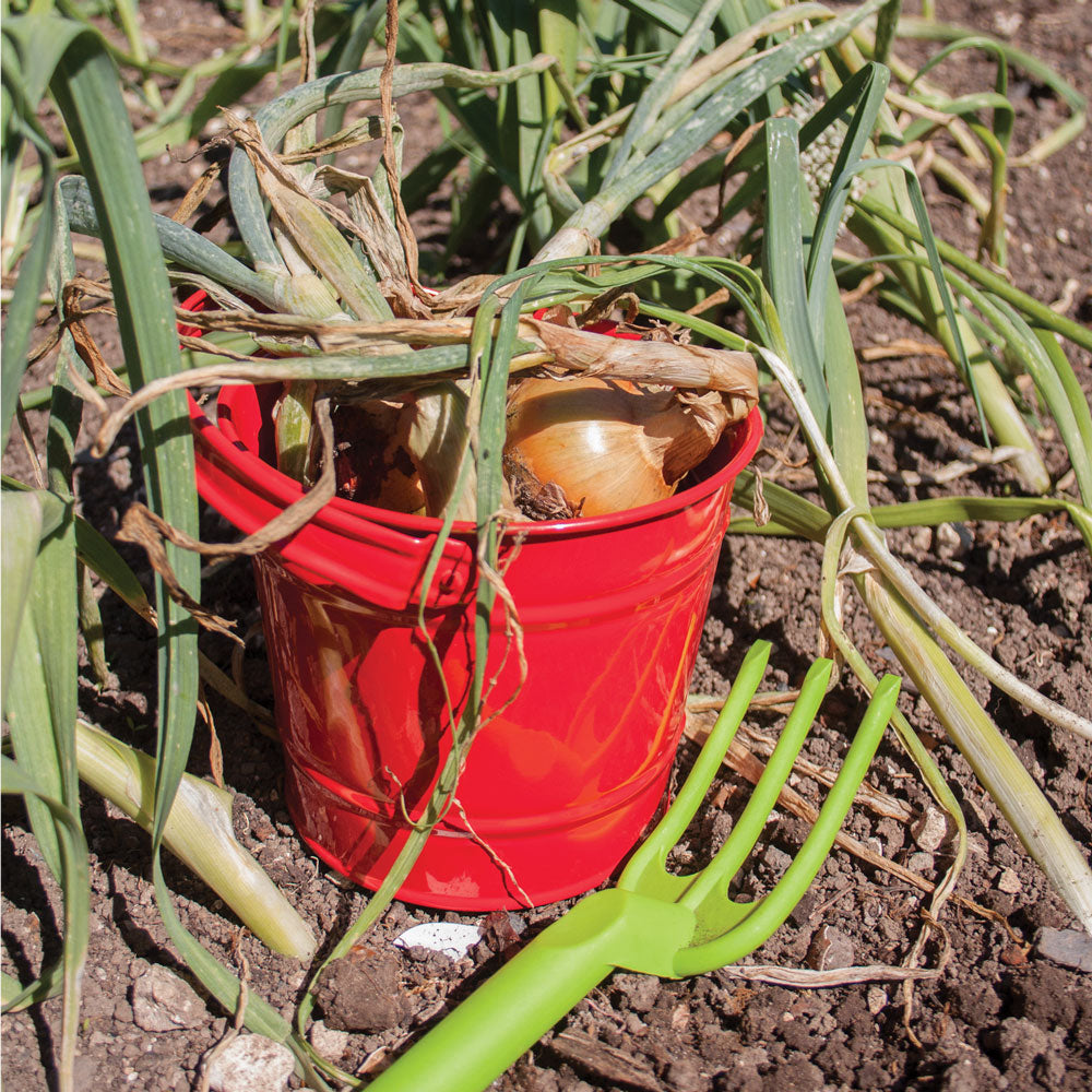 Bigjigs Gardening Starter Pack - Red