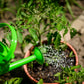 Bigjigs Gardening Starter Pack - Green