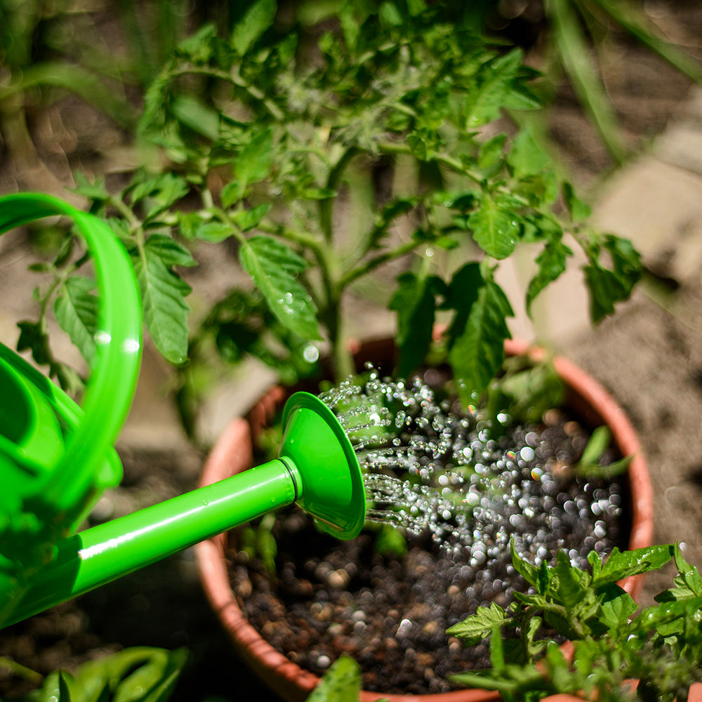 Bigjigs Gardening Starter Pack - Green