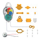 Green Science - Eco-Tech Bulb by 4M