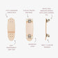 Detailed view of a skateboard with labeled components on a white background
