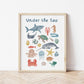 The Little Jones Under the Sea Print