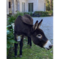 Lorena Canals Washable Rug - Hector the Donkey