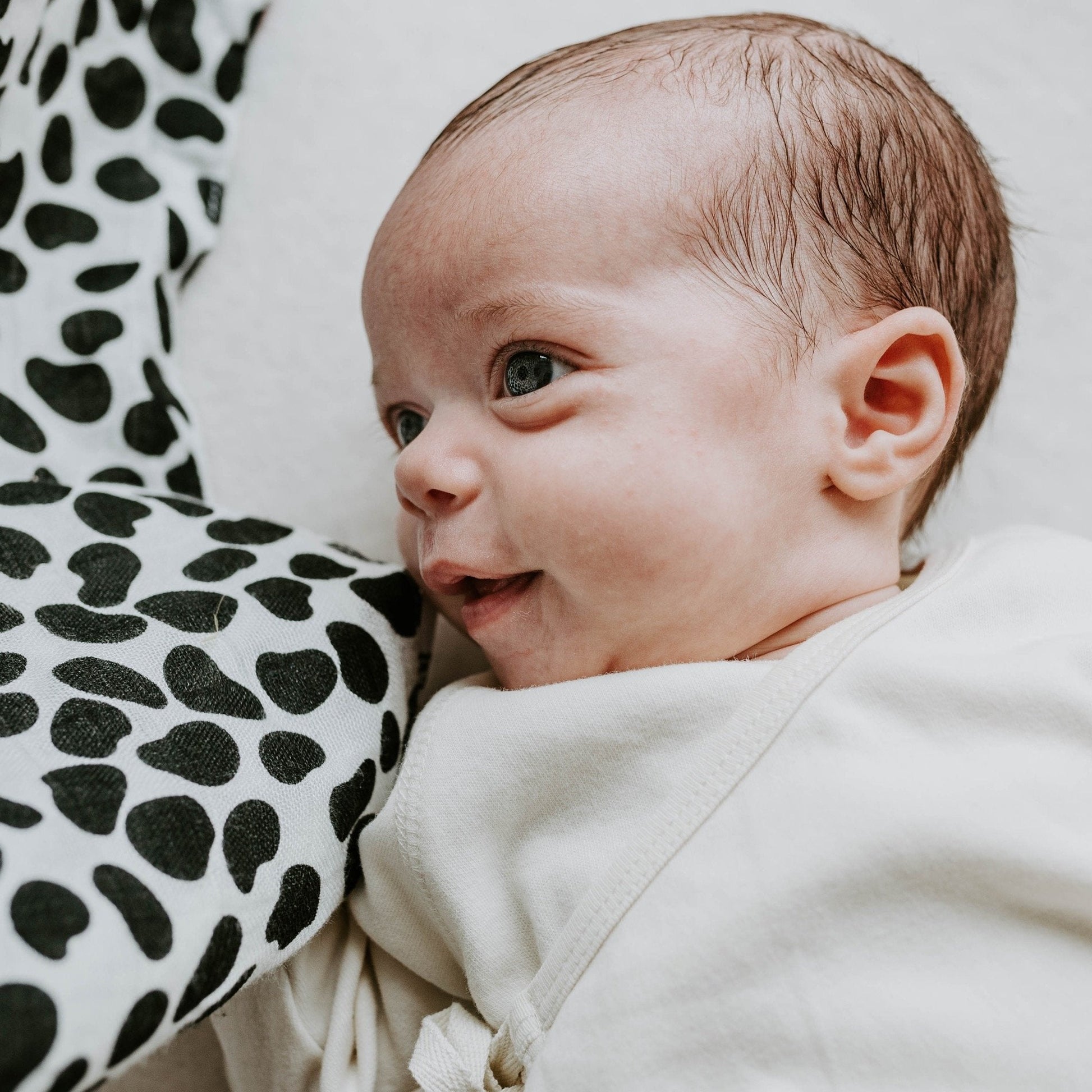 Etta Loves Organic Sensory Muslin Cloths - 2 Pk - Animal Prints
