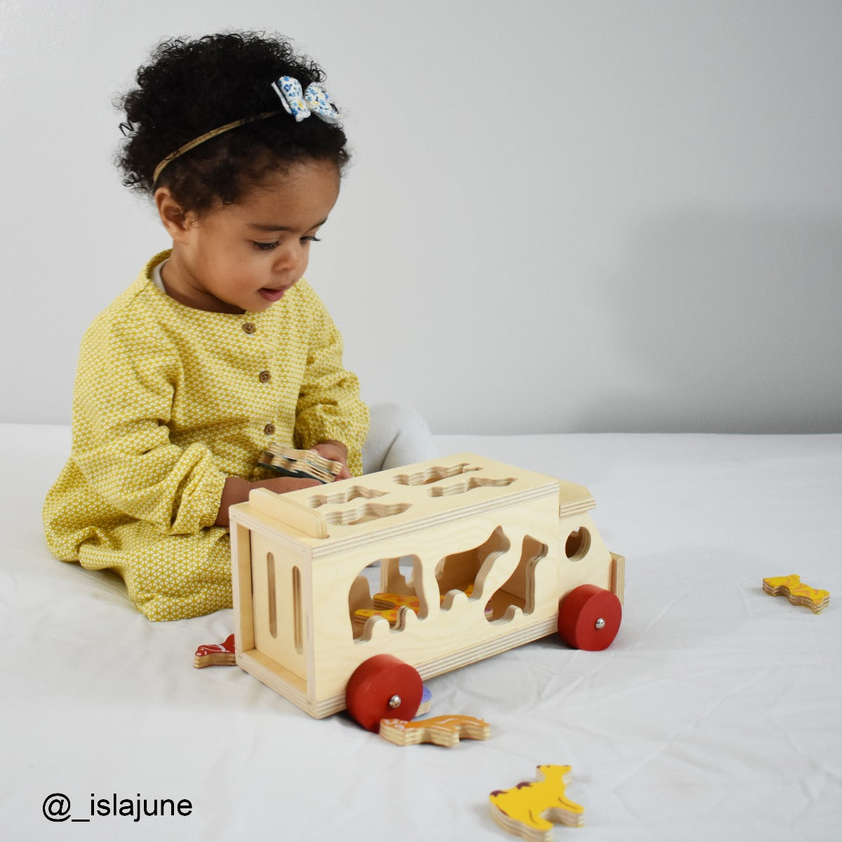 Bigijgs Wooden Animal Shape Sorter Lorry
