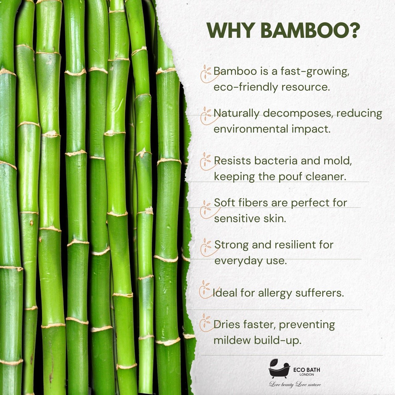 Eco Bath London Bamboo Hairbrush with Wooden Pins
