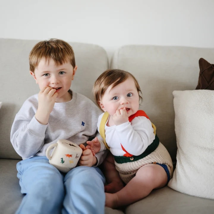 Mushie Silicone Snack Cup - Dinosaurs