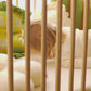 Oeuf NYC Sparrow Cot Bed - Birch
