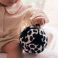 Etta Loves Baby Sensory Ball - Dalmatian