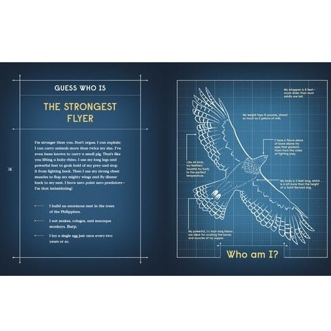 Book Of Flight: 10 Record-Breaking Animals With Wings 