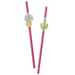 Paper Straws 16 Pack - Cactus & Pineapples By Ginger Ray